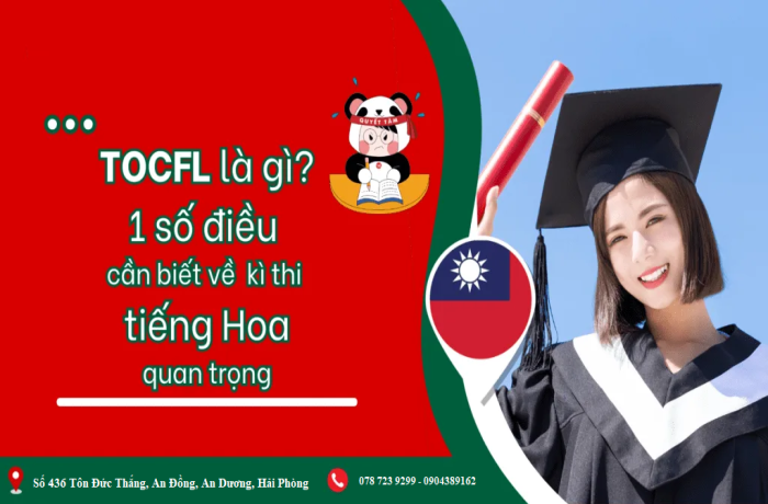 Luyện Thi TOCFL Hải Phòng: Hành Trình Chinh Phục Tiếng Trung Cùng Hán Ngữ Điềm Điềm
