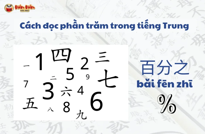 Cách đọc phần trăm trong tiếng Trung chi tiết cụ thể nhất