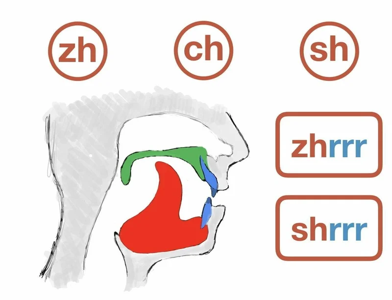 Hướng dẫn cách phát âm Zh, Ch, Sh trong tiếng Trung