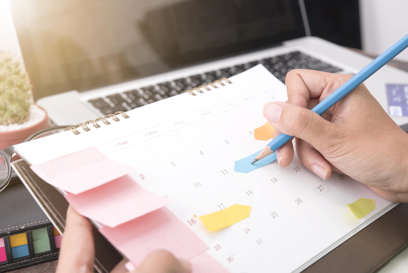 len-ke-hoach-hoc-tap-deu-dan